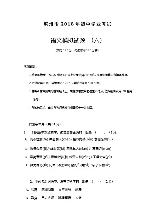 最新2018—2019年山东省滨州市中考语文模拟检测试题及答案解析(六)