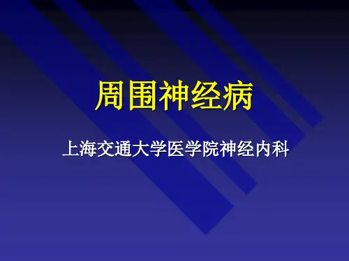 周围神经病