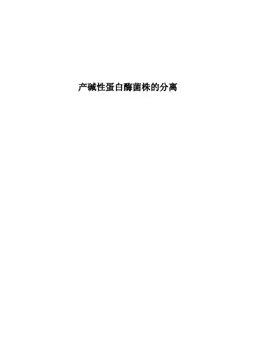 产碱性蛋白酶菌株分离