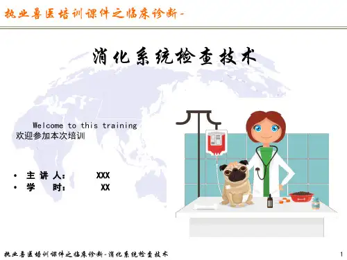 执业兽医培训课件之临床诊断-第四章-消化系统检查技术
