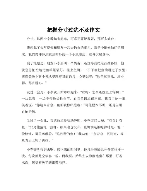 把握分寸过犹不及作文