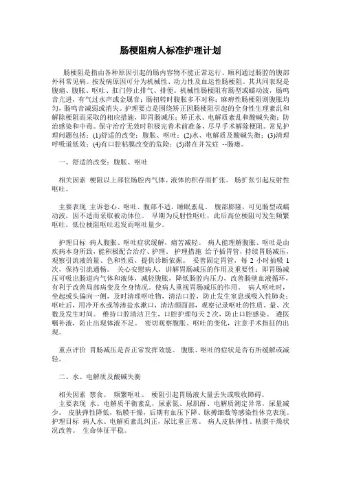 肠梗阻病人标准护理计划