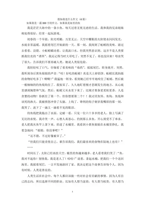 假如我是什么作文(6篇)