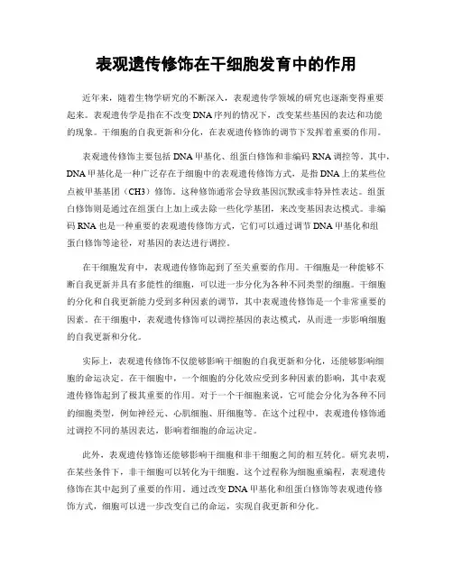 表观遗传修饰在干细胞发育中的作用