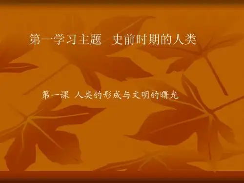 第一课__人类的形成与文明的曙光