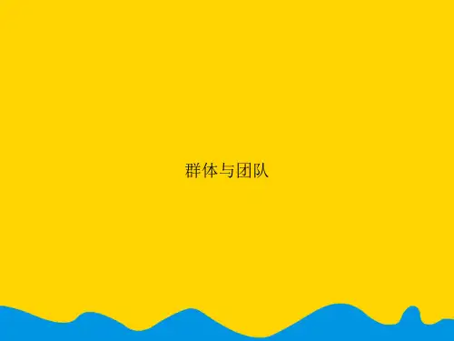 群体与团队.精选PPT