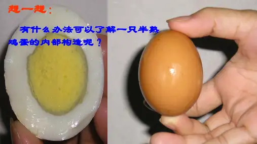 人教版必修第一册第一章地球的圈层结构课件