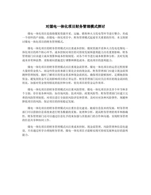 对煤电一体化项目财务管理模式探讨