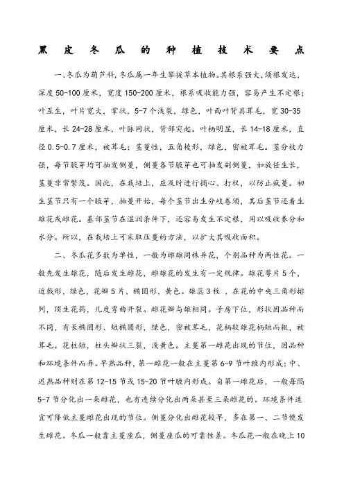 黑皮冬瓜的种植技术要点