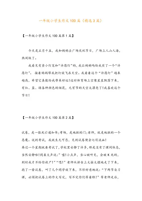 一年级小学生作文100篇(精选3篇)