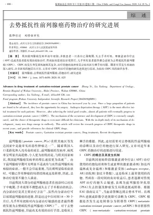 去势抵抗性前列腺癌药物治疗的研究进展