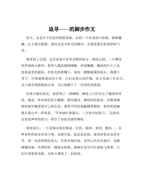 追寻——的脚步作文