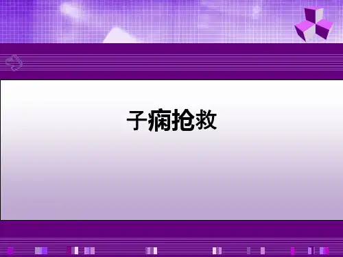 子痫抢救ppt课件