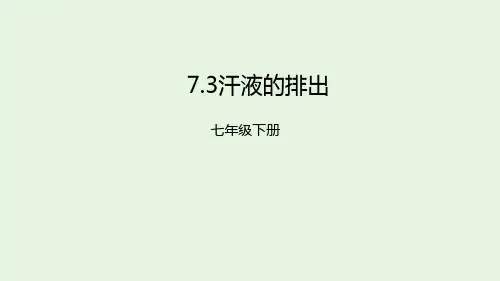 北京课改版七年级生物下册 7.3汗液的排出课件
