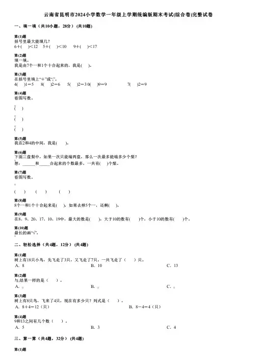 云南省昆明市2024小学数学一年级上学期统编版期末考试(综合卷)完整试卷