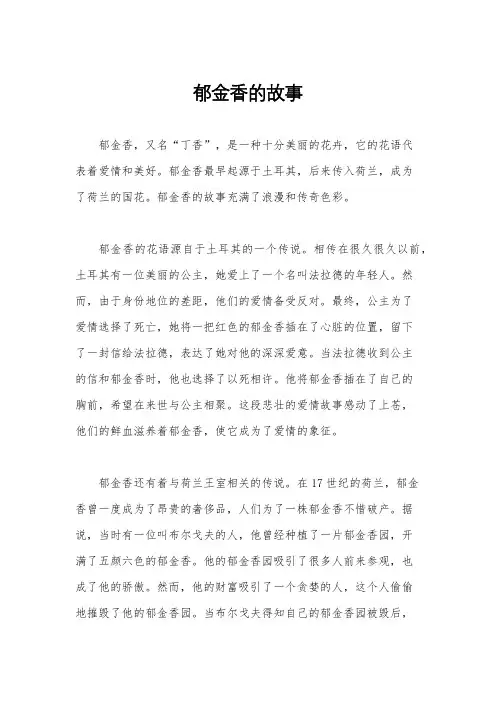 郁金香的故事