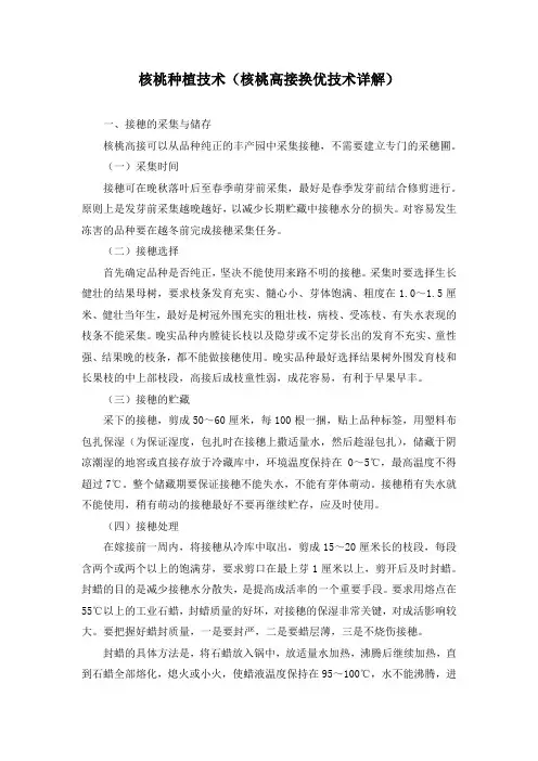 核桃种植技术(核桃高接换优技术详解)