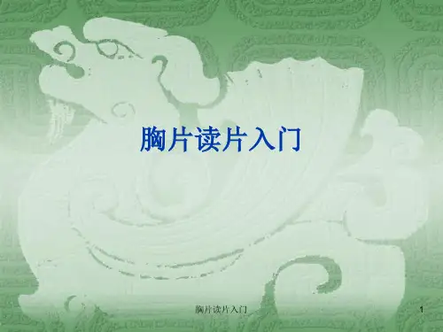 胸片读片入门ppt课件