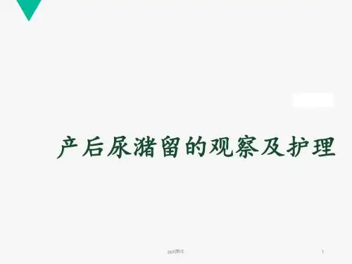 产后尿潴留的观察与护理  ppt课件