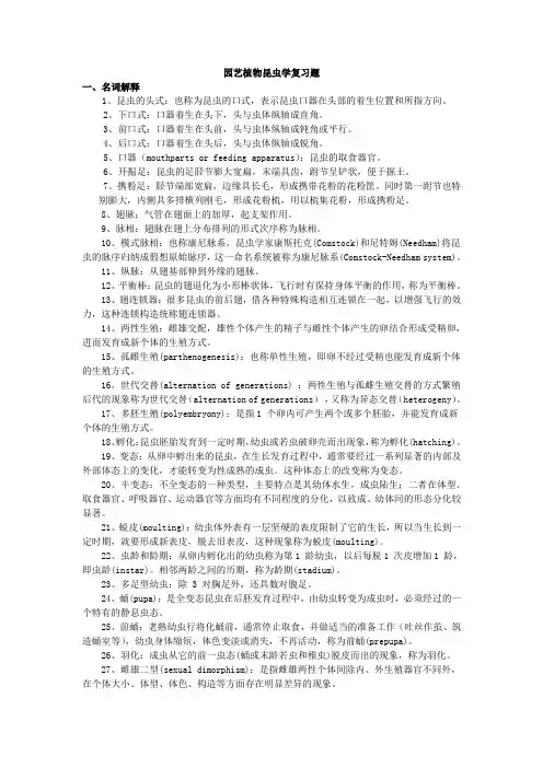 园艺植物昆虫学复习题
