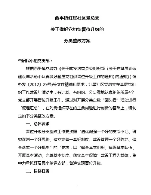 基层党组织分类定级工作晋位升级的分类整改方案