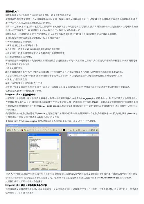 IPP教程.doc