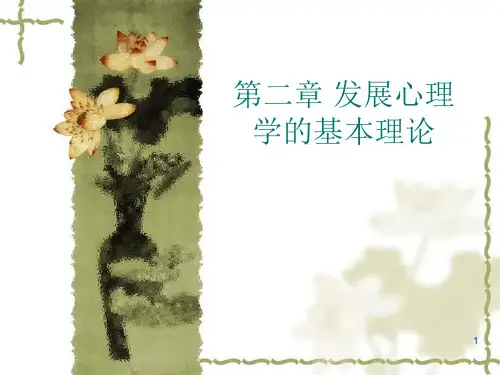 发展心理学的基本理论ppt课件