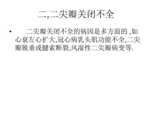 心脏疾病的超声诊断PPT课件
