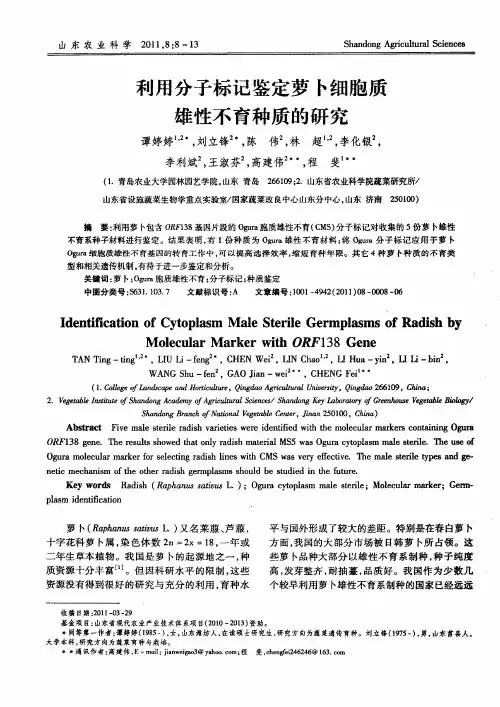 利用分子标记鉴定萝卜细胞质雄性不育种质的研究