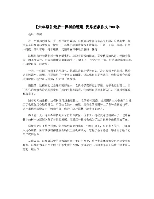 【六年级】最后一棵树的遭遇 优秀想象作文700字