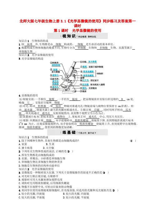 北师大版七年级生物上册3-1《光学显微镜的使用》同步练习及答案第一课时