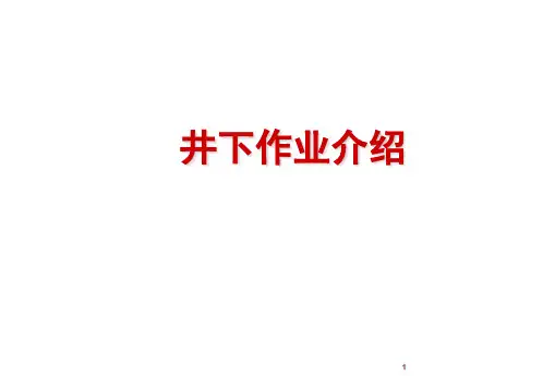 井下作业概述ppt课件