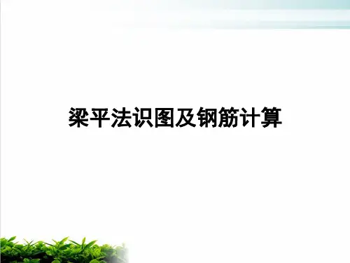 梁平法识图及钢筋计算PPT课件