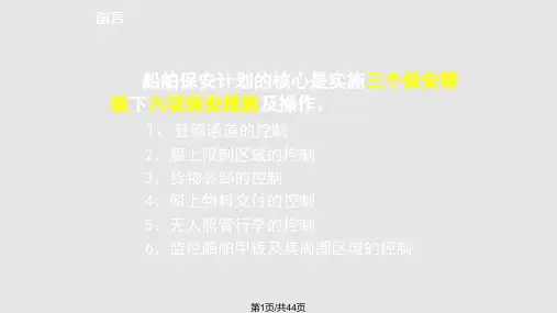 船舶保安措施的实施与维持PPT课件
