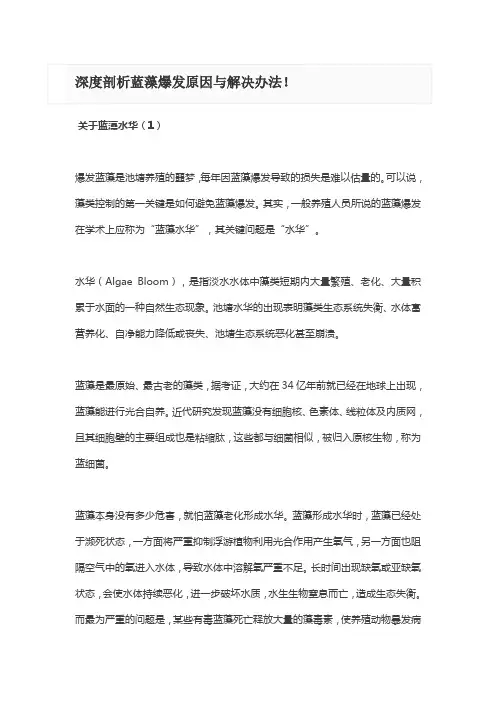 深度剖析蓝藻爆发原因与解决办法