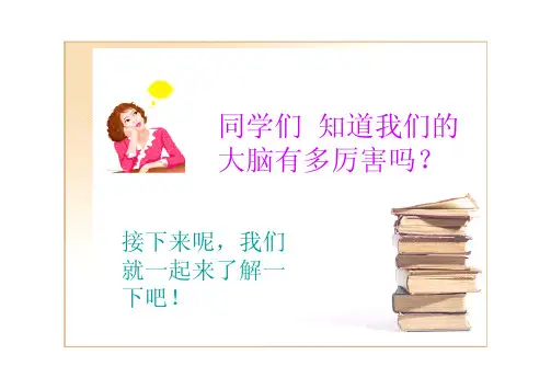 记忆大师教程