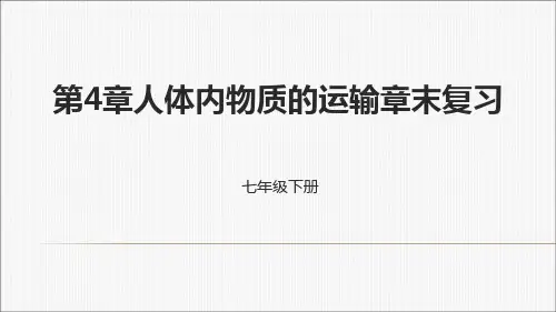 人教生物七年级下册第4单元第4章人体内物质的运输章末复习课件 (共15张PPT)