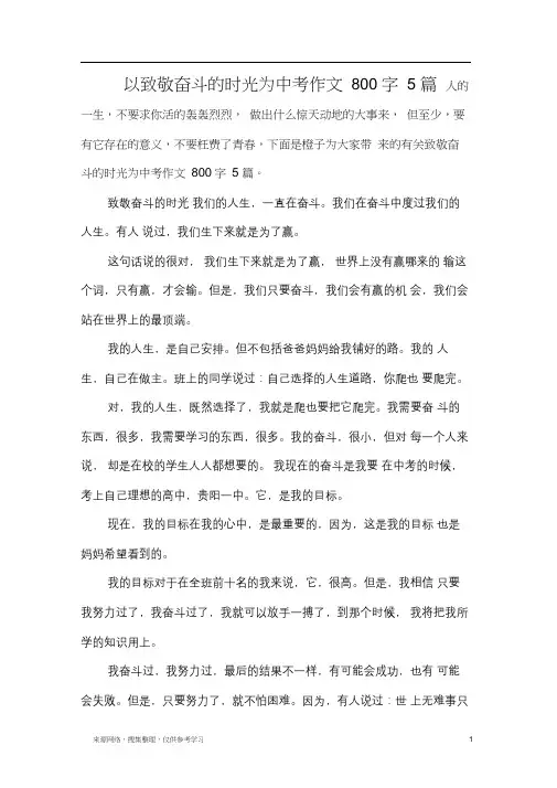 以致敬奋斗的时光为中考作文800字5篇