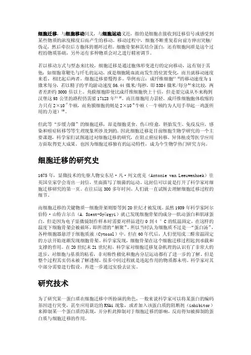 细胞迁移——精选推荐