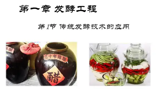 1.1 传统发酵技术的应用   课件