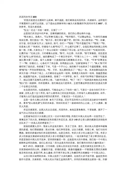 高中作文-风雨同舟作文800