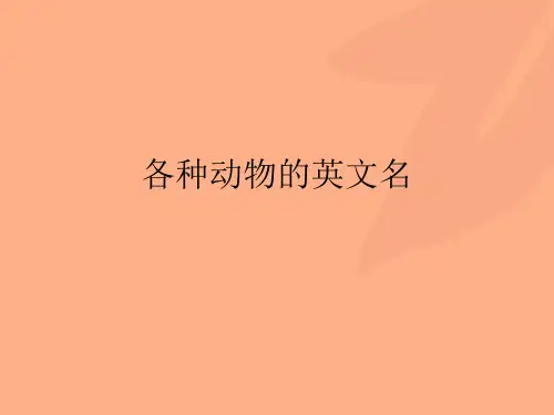 各种动物的英文名