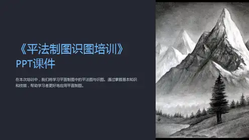《平法制图识图培训》课件