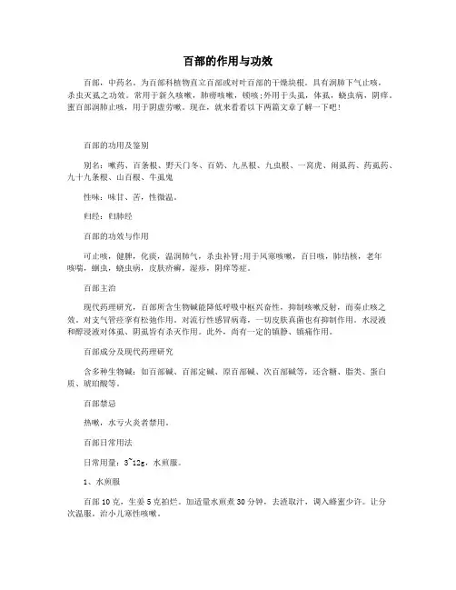 百部的作用与功效