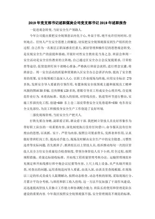2019年党支部书记述职 煤炭公司党支部书记2019年述职报告 精品