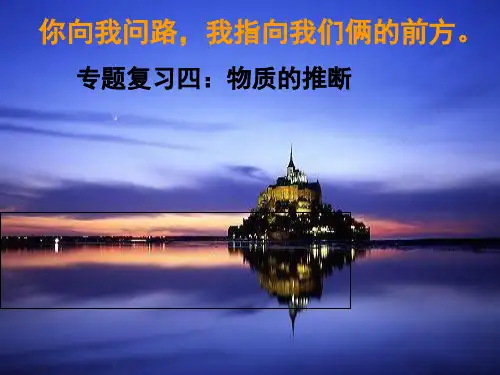 人教版初中化学专题复习四物质的推断 课件PPT