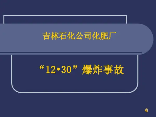 吉林石化“12.30”爆炸事故