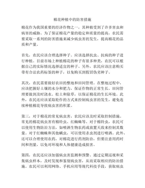棉花种植中的防害措施