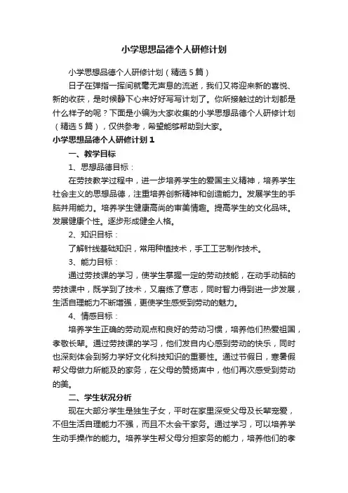 小学思想品德个人研修计划