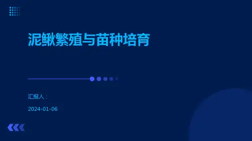 泥鳅繁殖与苗种培育